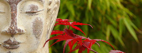 Banner Rust
              & Stilte